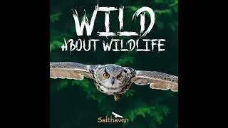 E20_Before the Forest Falls Silent: Why Great Apes Need us Now