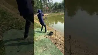 Unique Fishing Skills 1557 - Survival Instinct