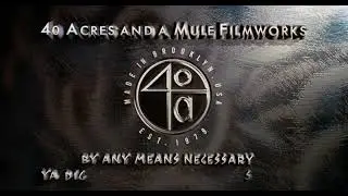 New Line Cinema / 40 Acres and a Mule Filmworks (Love & Basketball)