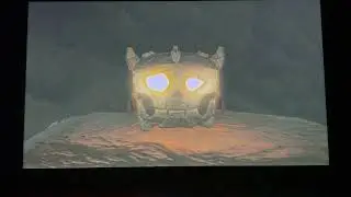 Me fighting random bokoblins