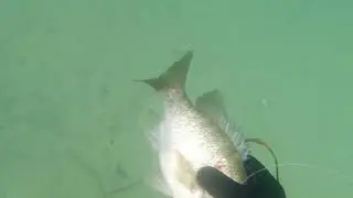 Pesca bajo el agua con cressi cherokee 75