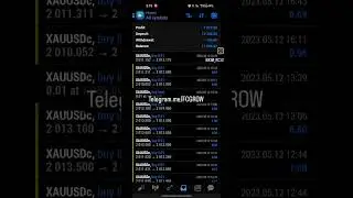 Forex Trading Account management performance