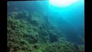 Lion de mer 2015 - Aqua rando