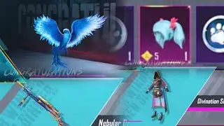NEW Falcon Companion/New hola Buddy Crate BGMI