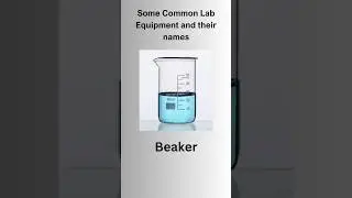 Common Lab Equipments #labequipment #laboratory #sciencelab