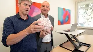 What happens when you give office workers Opl&oslash;ft sit-stand desks? [Short Edit]