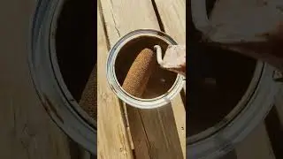 Pinotex Terrace Oil (Teak)