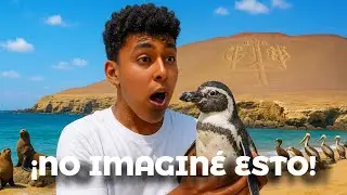 &iquest;&iexcl;PING&Uuml;INOS en el desierto!? 🐧 Qu&eacute; ver en PARACAS en un solo d&iacute;a 🇵🇪