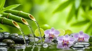 Relaxing Water Sounds &ndash; Healing Meditation Music for Deep Peace and Rest