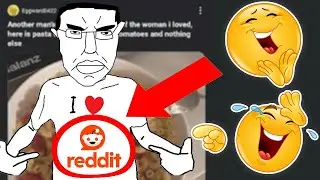 the funniest subreddit ever (kitchencels)