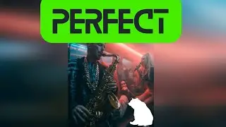 BearMusic - Perfect