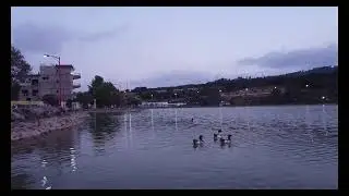 Monfort Lake