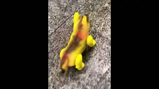 musical dog with lights - playmaster toys