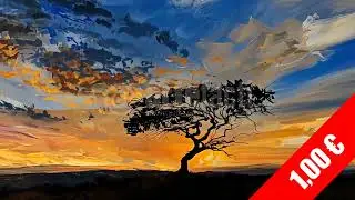 Painterly Acacia at Sunrise &mdash; Creative HD Stock Footage