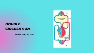 Learn Double Circulation in less than 10 mins 😮😍|| Body Fluids & Circulation ||