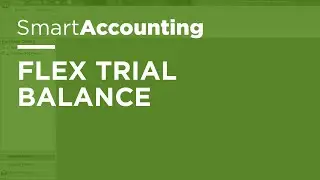 SmartAccounting - Flex Trial Balance