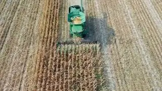Harvesting of corn. Harvester gather corn from the field. Russia, From Dron, Departure of the camer