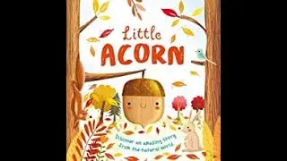 Little Acorn