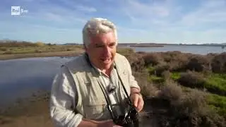 Wild Italy   Il Riscatto della Palude Documentario