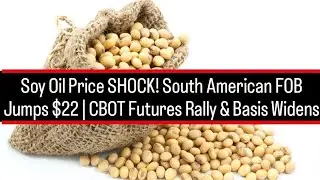 Soy Oil Price SHOCK! South American FOB Jumps $22 | CBOT Futures Rally & Basis Widens
