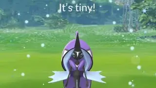 Backlog XXS 2nd Tapu Fini Raid Hour Main POV with My Friends 2💧🧚🏻&zwj;♀️