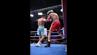 Justin Viloria vs. Alejandro Yung Wong Highlights TKO