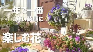 冬の花