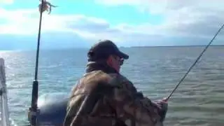 Houma Fishing down the bayou  Medium