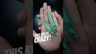 This Rig Looks RIDICULOUS&hellip; But Bass Can&rsquo;t Resist It 😳🎣 #fishing