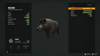 theHunter: Call of the Wild 145.95 Diamond Wild Boar