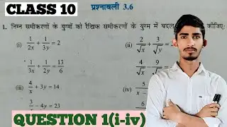 Class 10 Math Exercise 3.6, Question 1, (i) to (iv) Solution  | Ncert Math | Bihar Board Exam