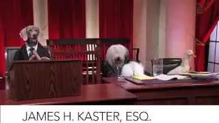 Real Animals, Fake Paws: Kasten v Saint Gobain Performance Plastics Corp