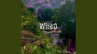 Wired