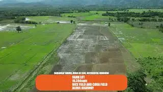 🌾 Farm Lot for Sale in Abra de Ilog | Productive Rice & Corn Fields 🌽