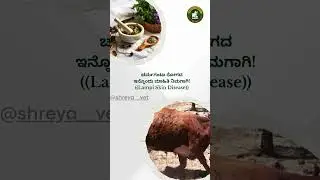 ಹಸುಗಳ ಚರ್ಮಗಂಟು ರೋಗದ ಗಾಯಗಳಿಗೆ ರಾಮಬಾಣ ಮನೆಮದ್ದು | Lumpy Skin Disease Wound Healing Treatment for Cows