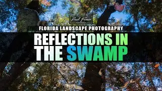 Using Reflections in the Swamp - Florida Landscape Photography