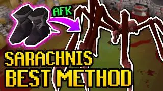 Краткое руководство по лучшим методам Сарахниса (без паутины &mdash; AFK Sarachnis Guide 2025)