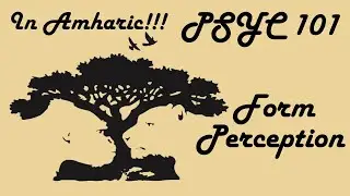 Psychology - Form Perception | Amharic version | Examples