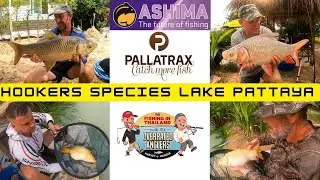 The Overrated Anglers Thailand - Carp vibes at the brand new Hookers species lake with the lads