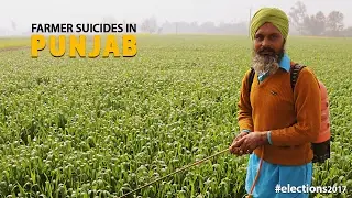 Punjab 2017: Is there political will to act on increasing farmer suicides?