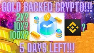 GSX Apollo Fintech CDE (ICO) Ending Soon!!! Binance Listing??? Bidao Stuff Too!