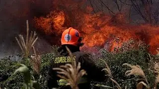Chile wildfires: at least 11 dead
