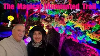 The Magical Illuminated Trail