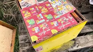 1 -  126  Cum iernez familile de 🐝🐝🐝🐝
