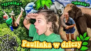 WIELKA TYROLKA W DŻUNGLI! 🌴