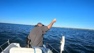 TRIPS ON THE BOAT S3:E20 FALL FISHING STRIPERS AND BLACKFISH