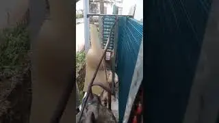 Condancer leakage testing for ADHI REFRIGERATION Kannur +918547819163
