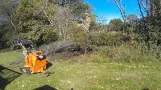 Brush Cleanup with a Toro Dingo 525 - Skid Steer Service Clarksville TN