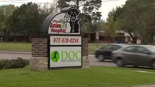 Texas woman mauled to death by her own pit bulls at vet clinic