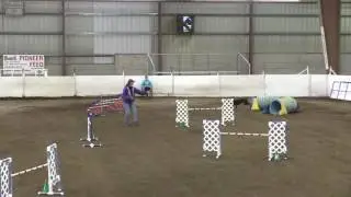 BaeBea's Dog Training - Doberman DashDash wins 1st Place in AKC Open JWW MHDPC 11-19-16